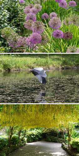 [Wildlife at Bodnant]